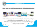 Condroplex LB Suplemento para Cães Grandes e Gigantes – 60 Comprimidos (Avert)
