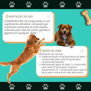 Condroplex LB Suplemento para Cães Grandes e Gigantes – 60 Comprimidos (Avert)