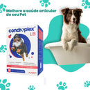 Condroplex LB Suplemento para Cães Grandes e Gigantes – 60 Comprimidos (Avert)