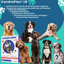 Condroplex LB Suplemento para Cães Grandes e Gigantes – 60 Comprimidos (Avert)